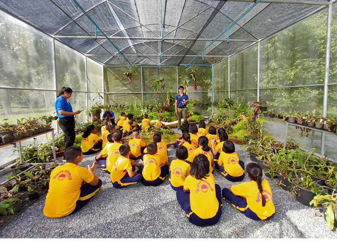 แสงทอง01