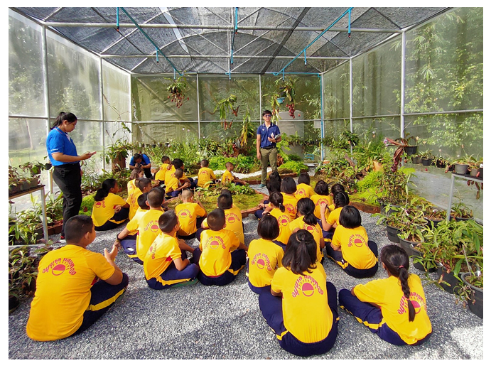 แสงทอง05