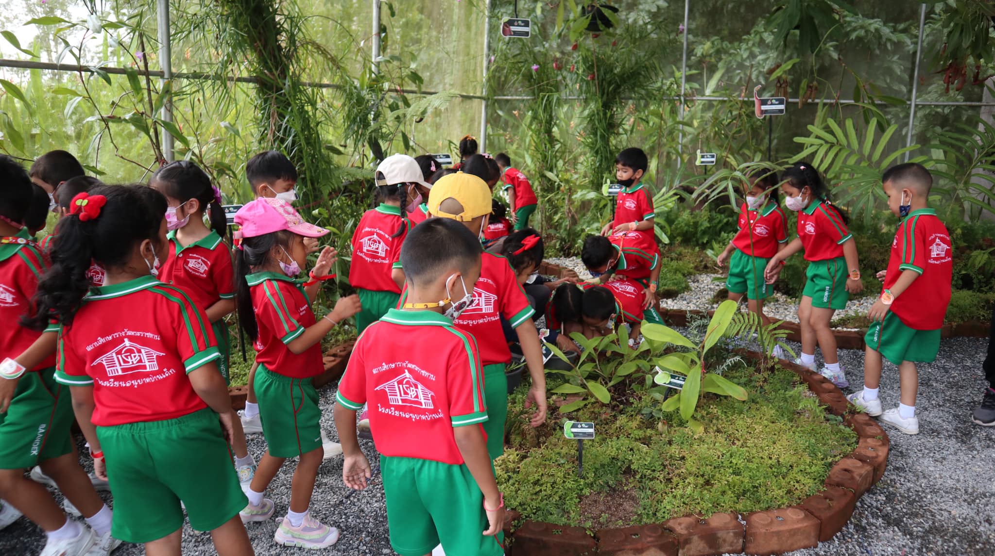 ค่ายนักวิทยาศาสตร์ โรงเรียนอนุบาลบ้านเด็ก