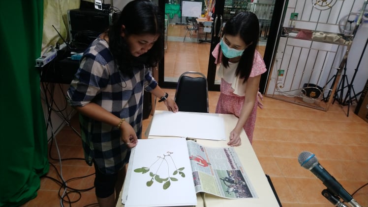 สนับสนุนตัวอย่างพรรณไม้แห้ง สาขาวิชาวิทยาศาสตร์การแพทย์ สำนักวิชาแพทยศาสตร์