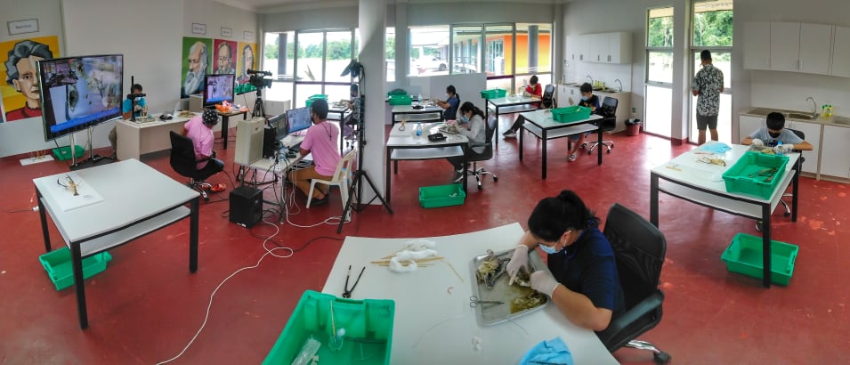 ชวนน้องสตัฟฟ์สัตว์