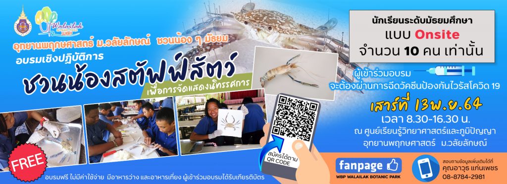 ชวนน้องสตัฟฟ์สัตว์