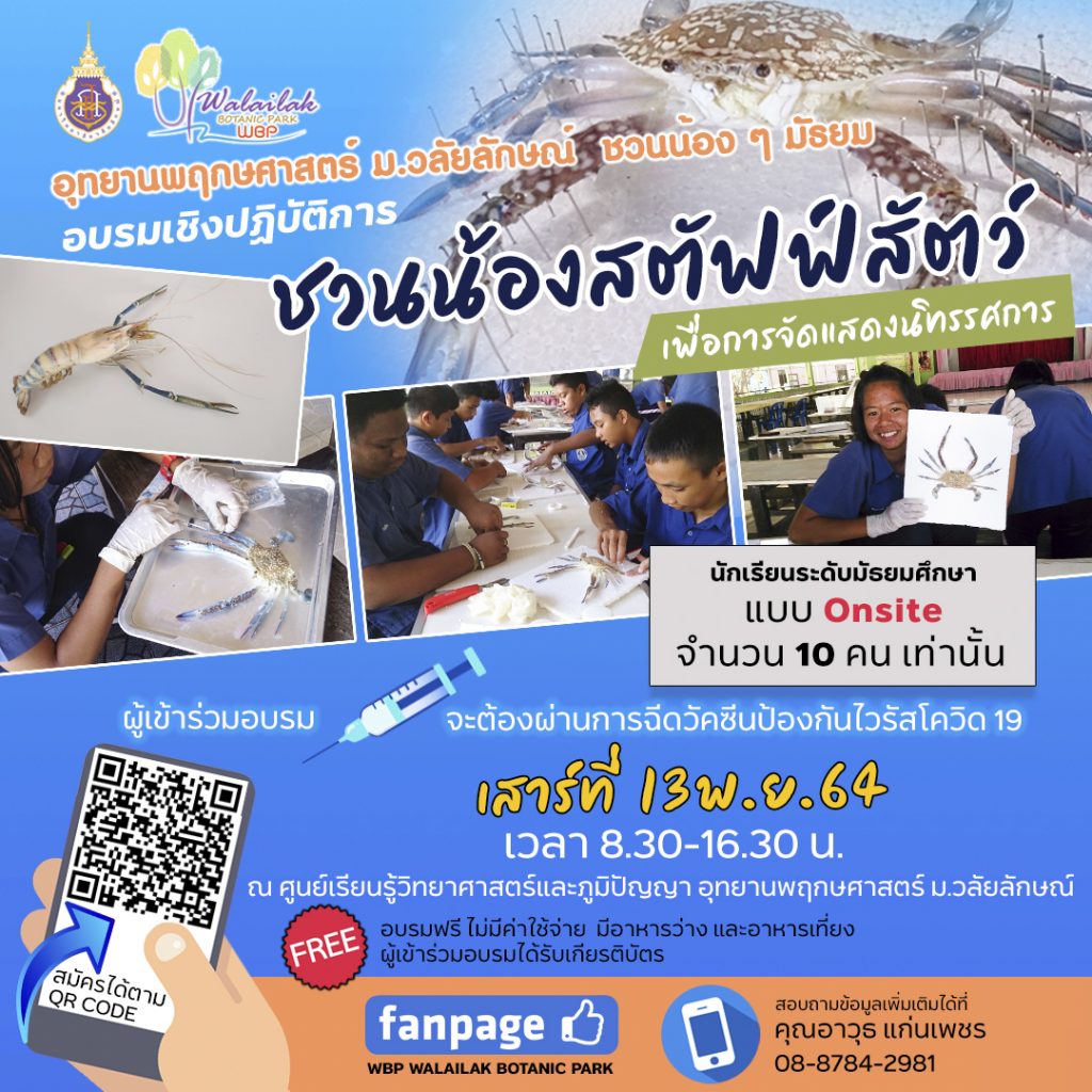 ชวนน้องสตัฟฟ์สัตว์