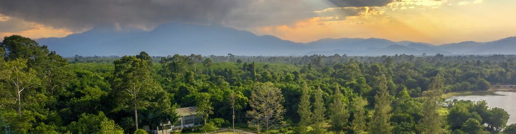 ฐานข้อมูลทรัพยากรธรรมชาติอุทยานพฤกษศาสตร์ มหาวิทยาลัยวลัยลักษณ์