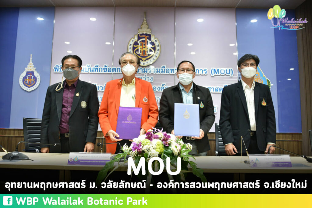 การกันลงนาม MOU ความร่วมมือทางวิชาการ ระหว่างมหาวิทยาลัยวลัยลักษณ์กับองค์การสวนพฤกษศาสตร์