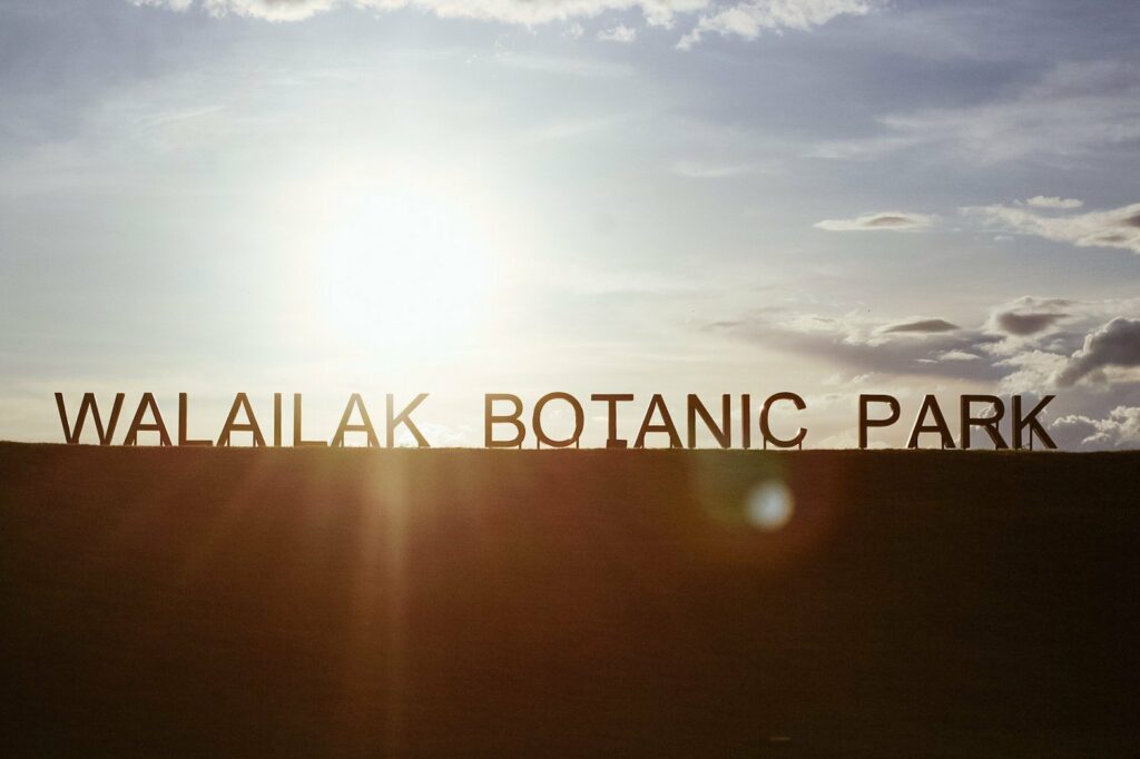 เปิดทดลอง “หอชมฟ้า” 5 วัน คนเข้าชมเพียบ 5 พันคน