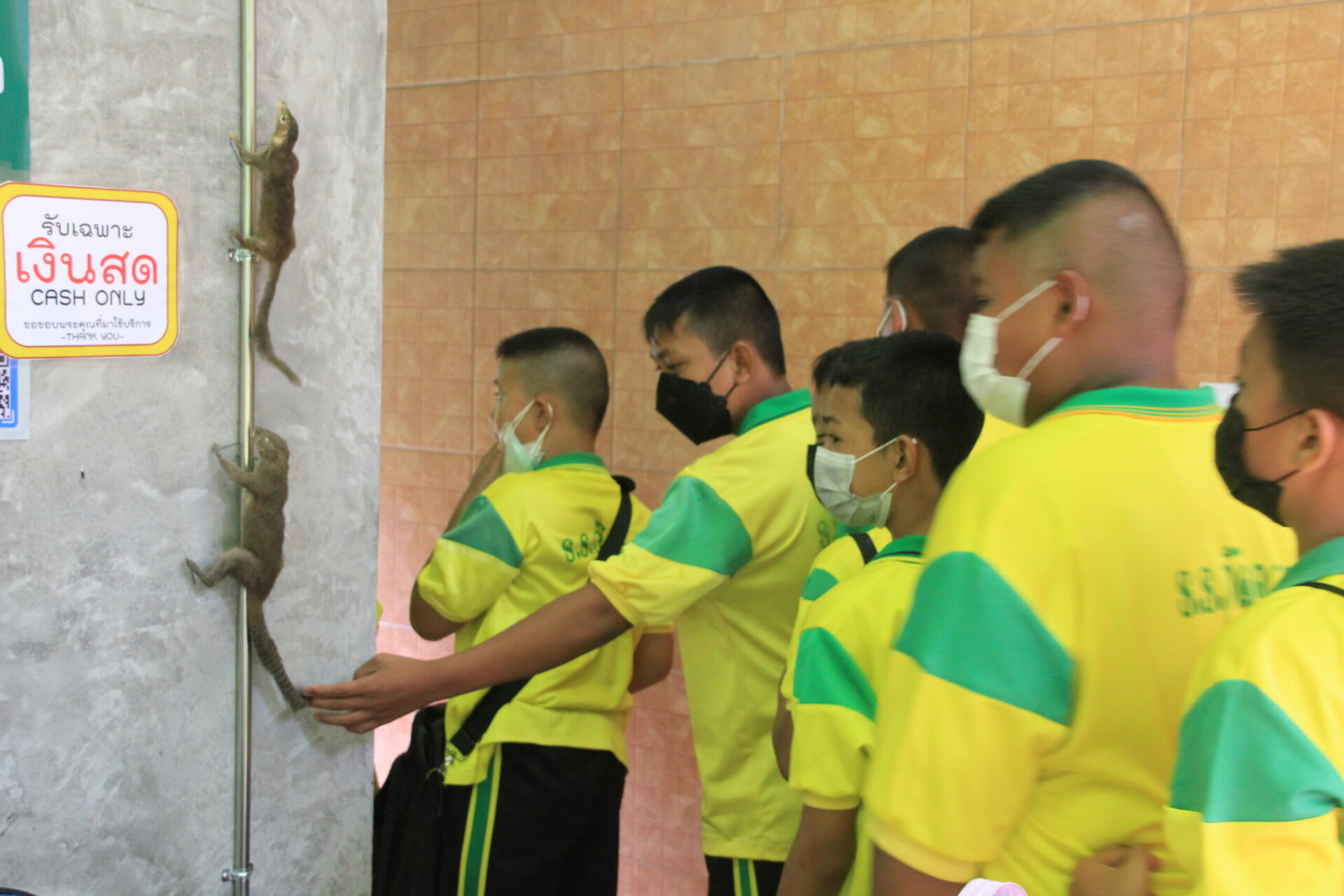 การให้บริการ โรงเรียนวัดควรชม เยี่ยมชมอุทยานพฤกษศาสตร์