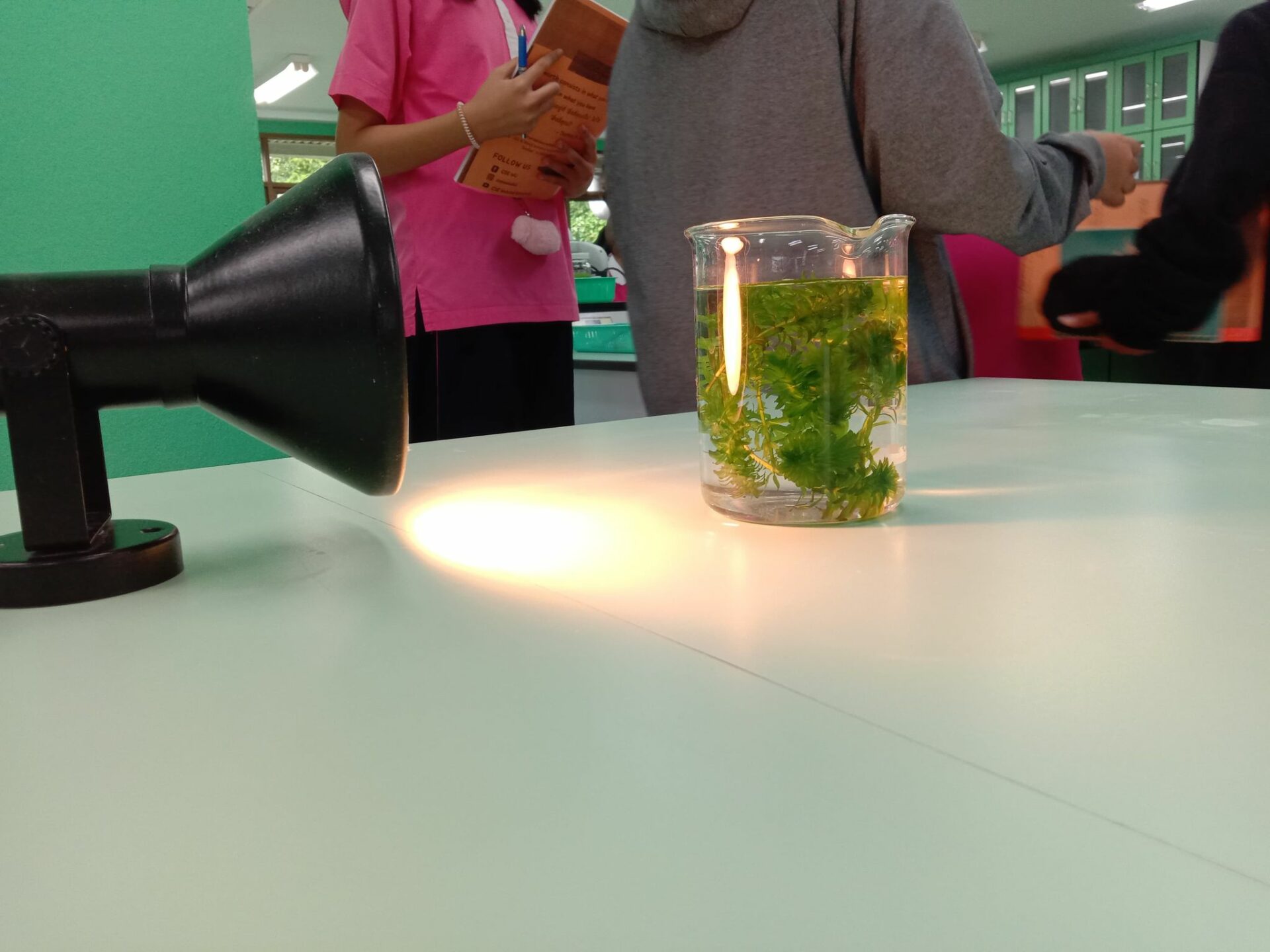 ค่ายวิทยาศาสตร์ โรงเรียนอนุบาลพังงา