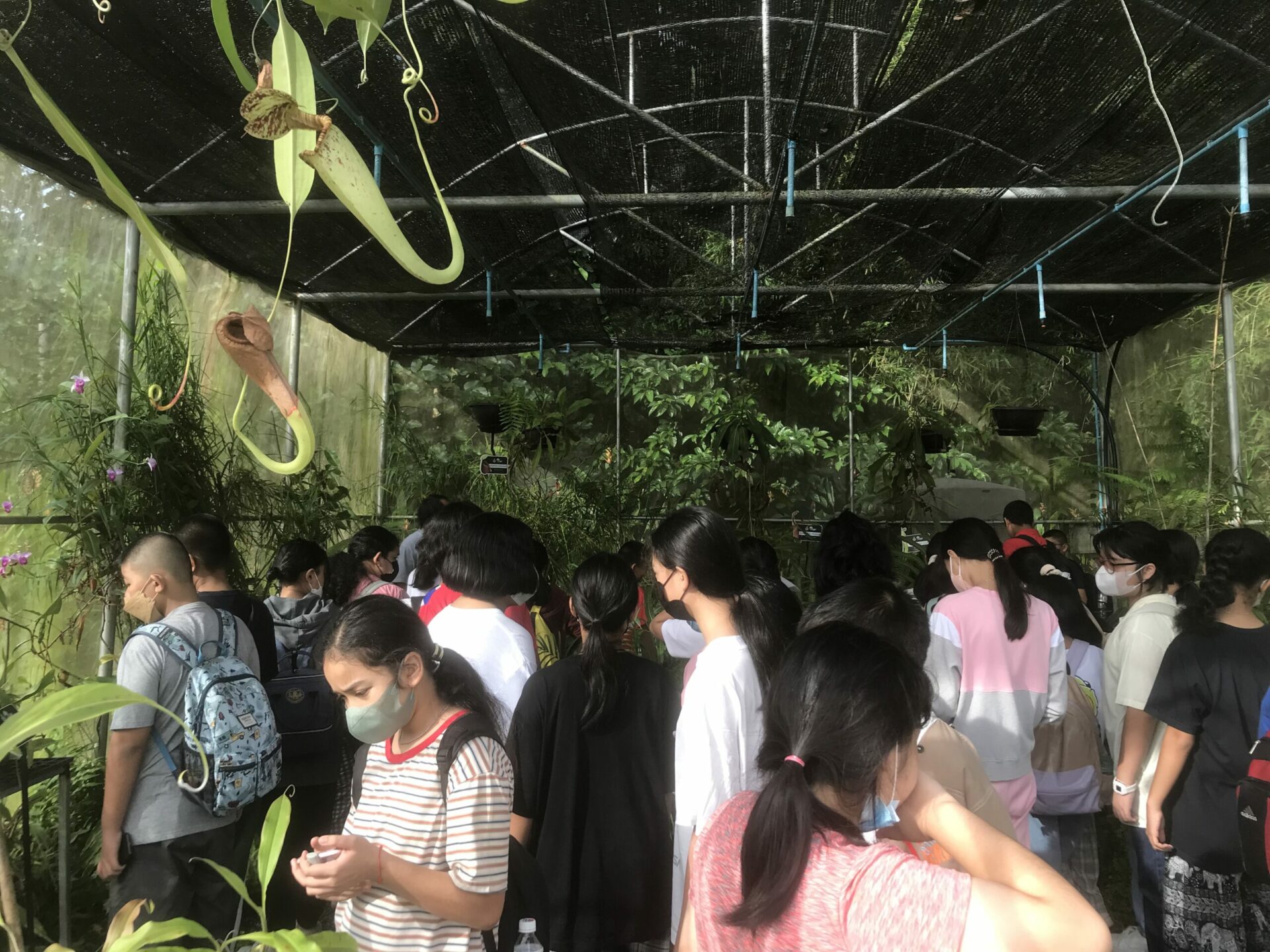 ค่ายวิทยาศาสตร์ โรงเรียนอนุบาลพังงา