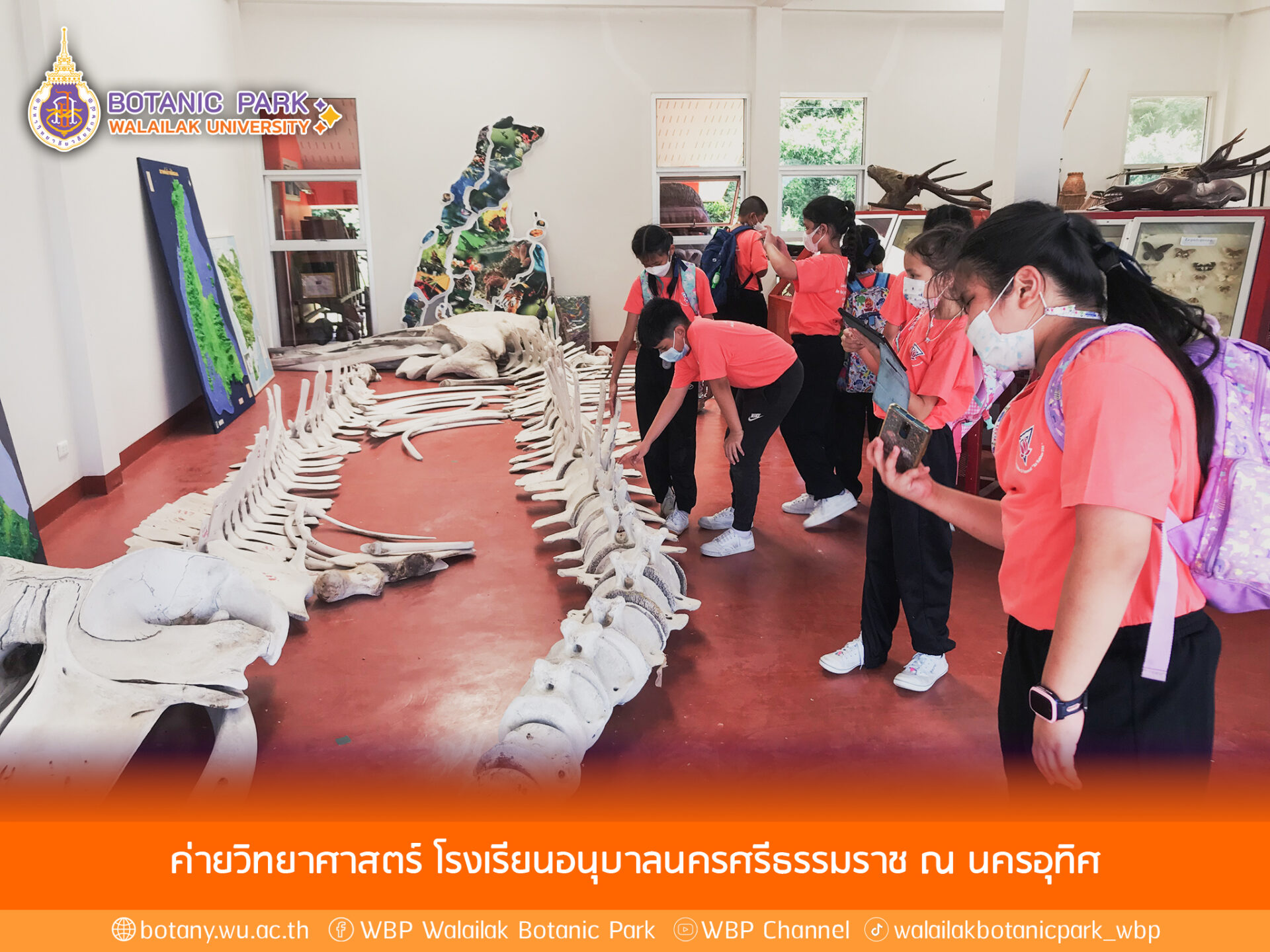 ค่ายวิทยาศาสตร์โรงเรียนอนุบาลนครศรีธรรมราช ณ นครอุทิศ