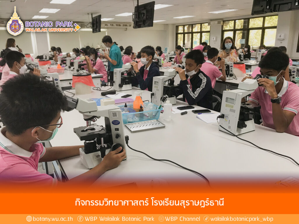 กิจกรรมวิทยาศาสตร์ โรงเรียนสุราษฎร์ธานี