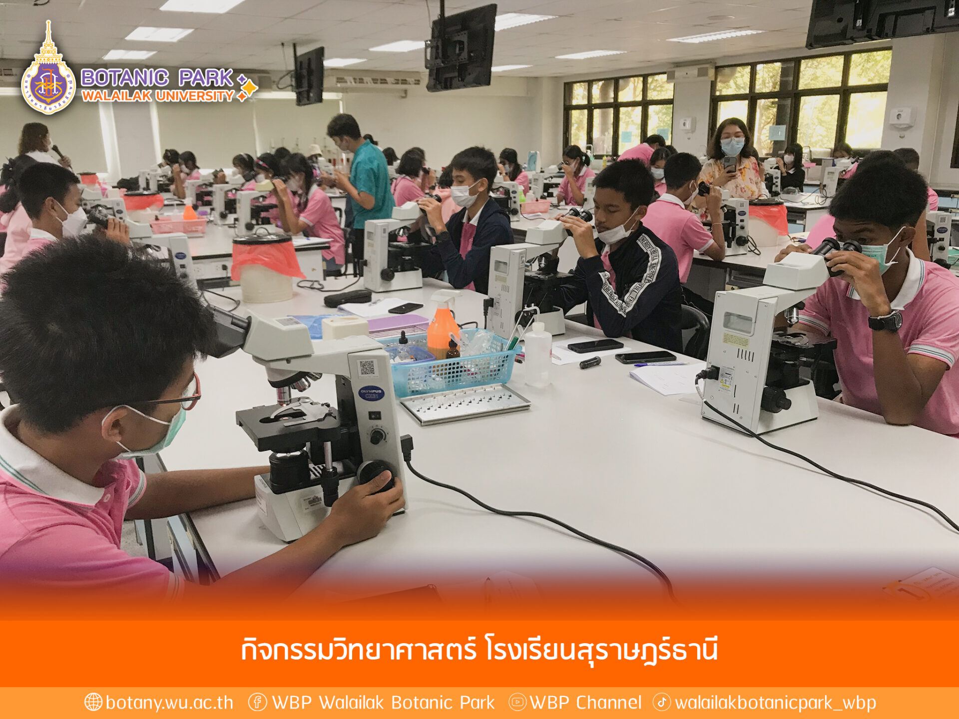 กิจกรรมวิทยาศาสตร์ โรงเรียนสุราษฎร์ธานี
