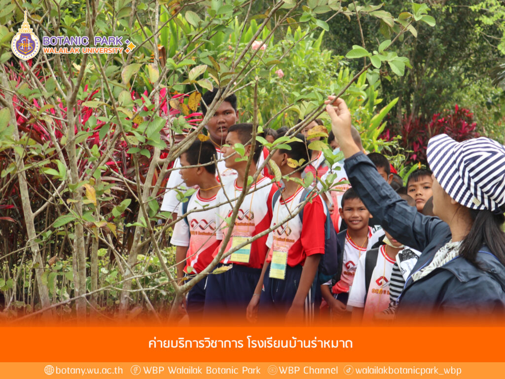 ค่ายบริการวิชาการ โรงเรียนบ้านร่าหมาด จังหวัดกระบี่