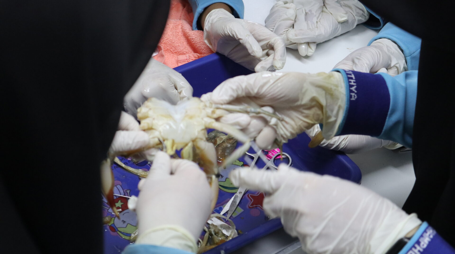 ค่ายบริการวิชาการ โรงเรียนคำภีร์วิทยา จังหวัดยะลา