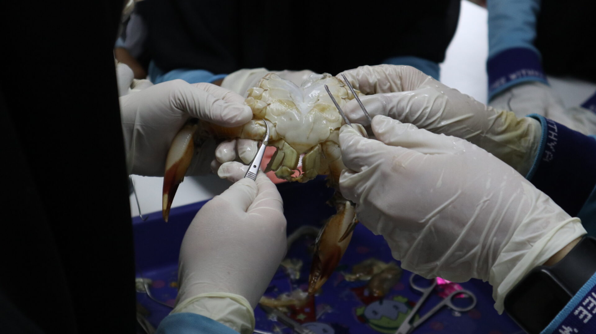 ค่ายบริการวิชาการ โรงเรียนคำภีร์วิทยา จังหวัดยะลา