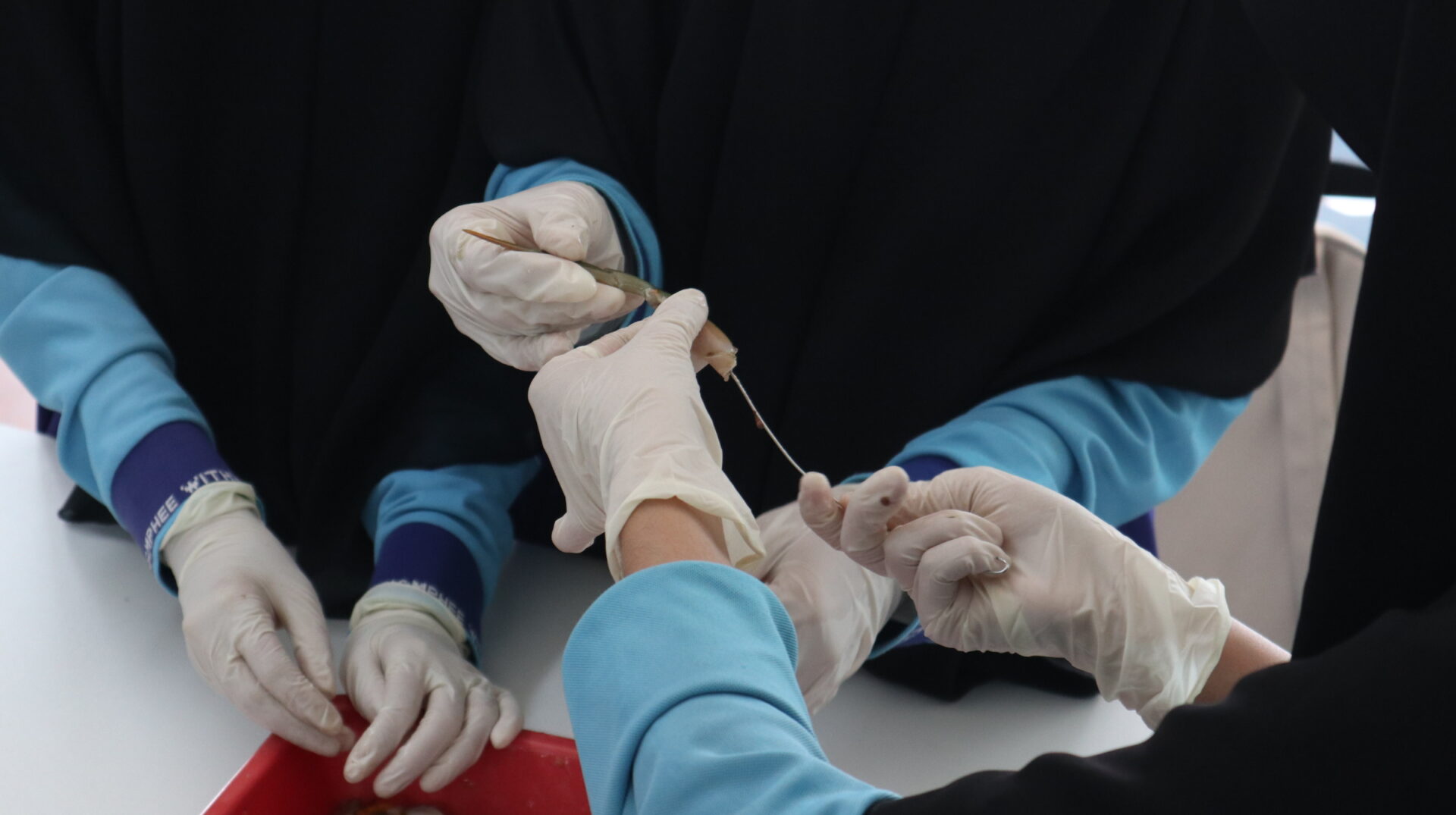 ค่ายบริการวิชาการ โรงเรียนคำภีร์วิทยา จังหวัดยะลา