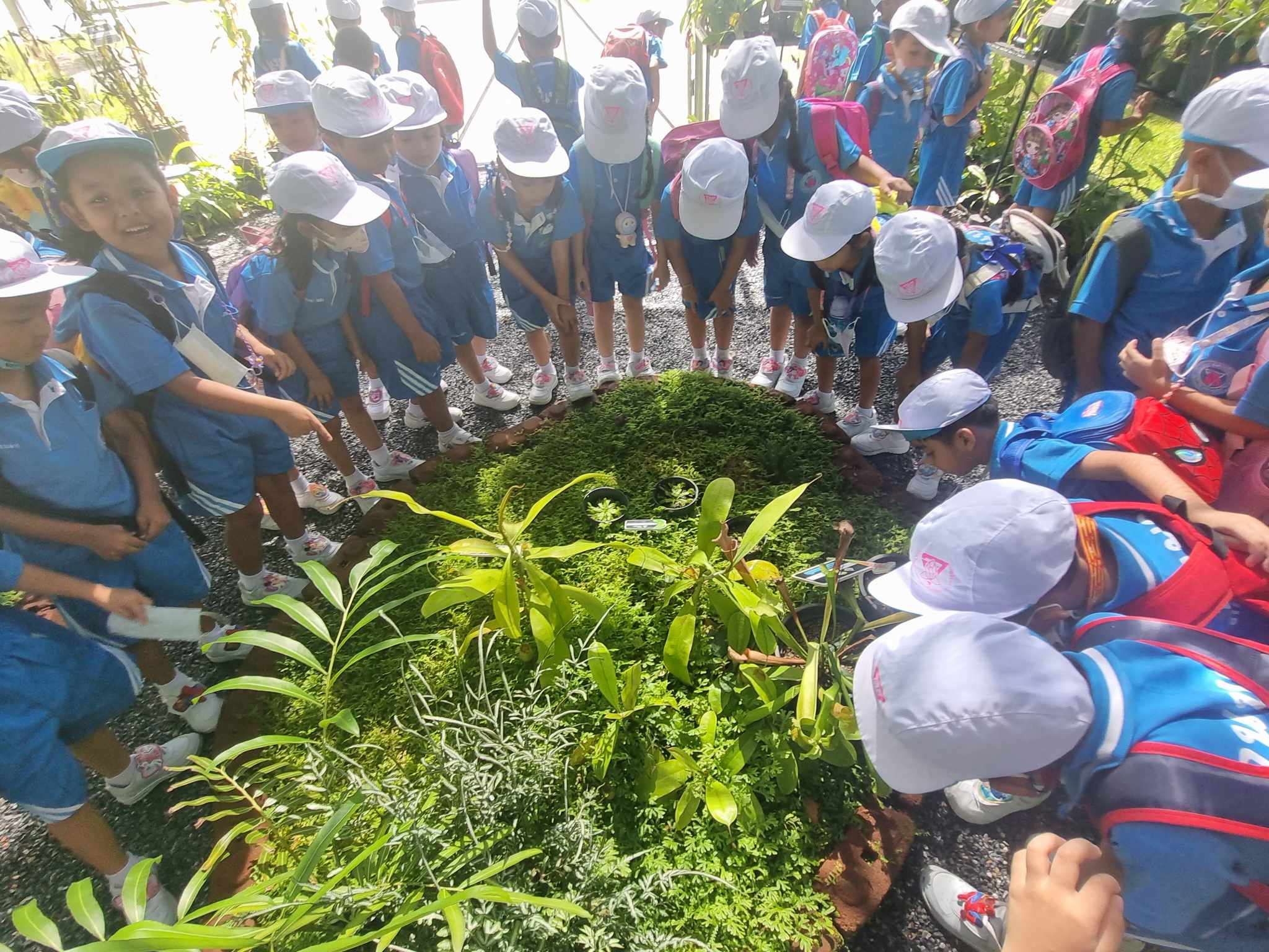 ค่ายบริการวิชาการ ระดับชั้นอนุบาล 3 โรงเรียนอนุบาลนครศรีธรรมราช