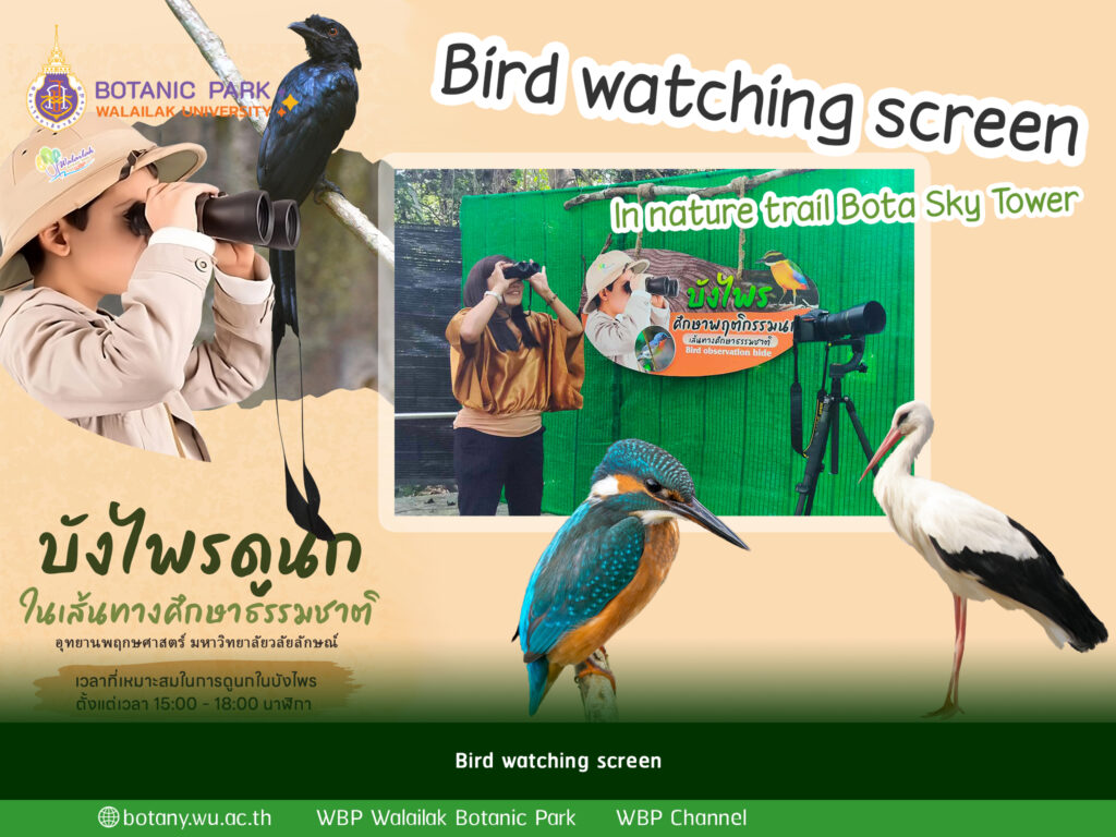 Bird watching screen