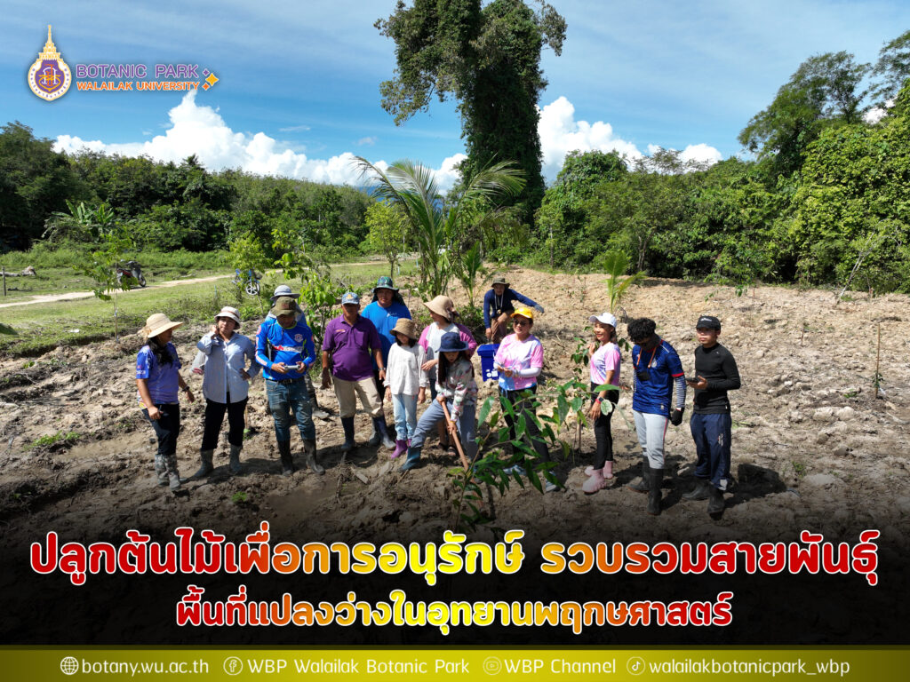 ปลูกต้นไม้เพื่อการอนุรักษ์ รวบรวมสายพันธุ์ พื้นที่แปลงว่างในอุทยานพฤกษศาสตร์