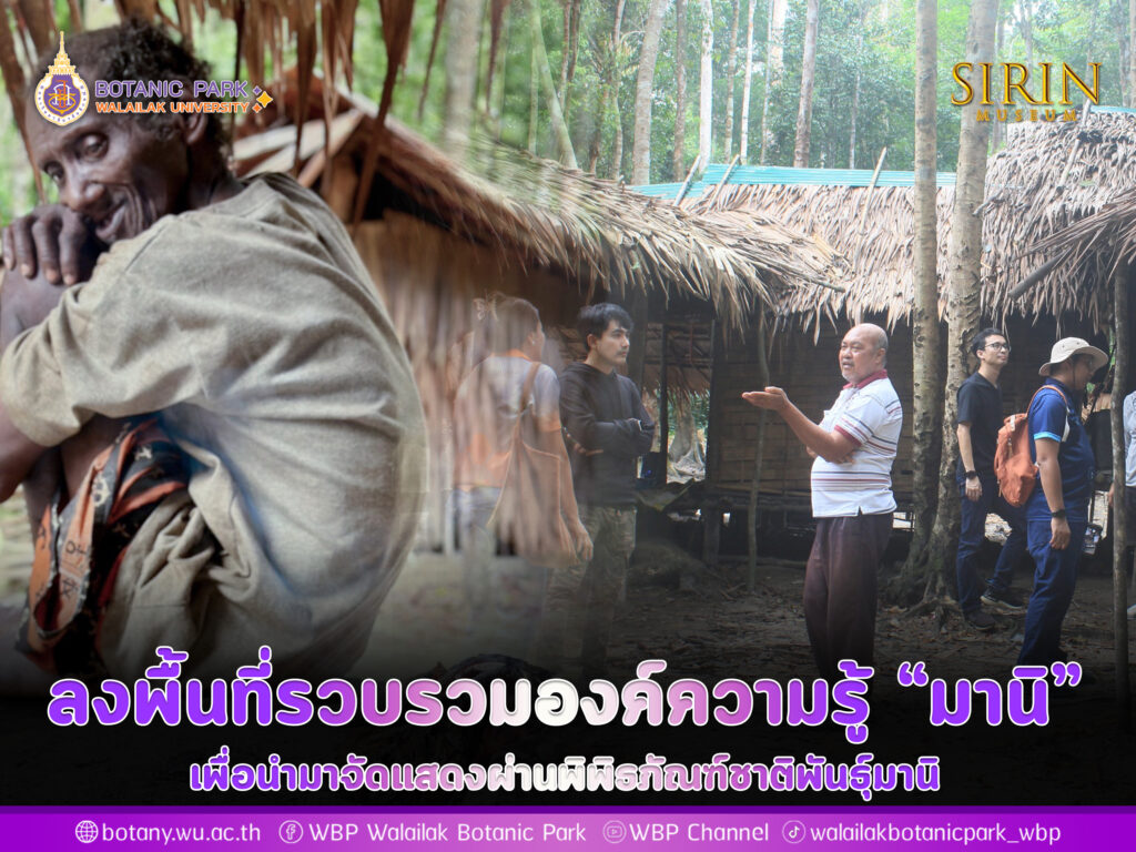 ลงพื้นที่รวบรวมองค์ความรู้ "มานิ"