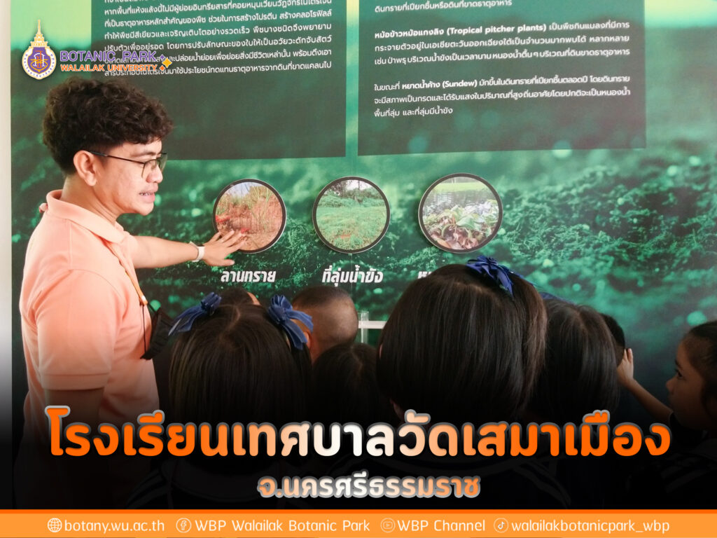 โรงเรียนเทศบาลวัดเสมาเมือง จ.นครศรีธรรมราช