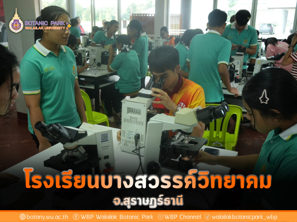 โรงเรียนบางสวรรค์วิทยาคม จังหวัดสุราษฎร์ธานี