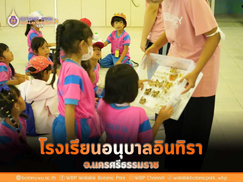 โรงเรียนอนุบาลอินทิรา จังหวัดนครศรีธรรมราช