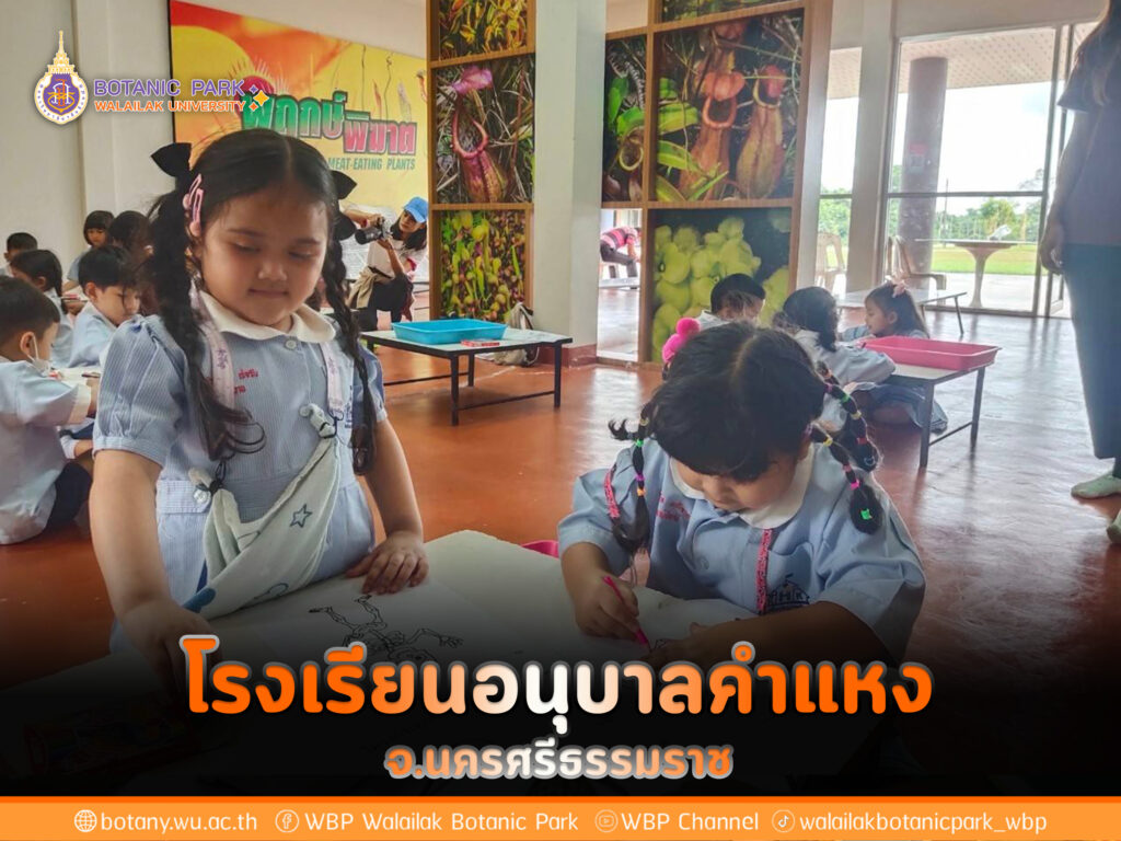 โรงเรียนอนุบาลคำแหง จังหวัดนครศรีธรรมราช