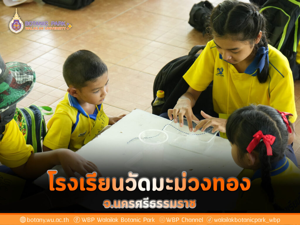 โรงเรียนวัดมะม่วงทอง จังหวัดนครศรีธรรมราช