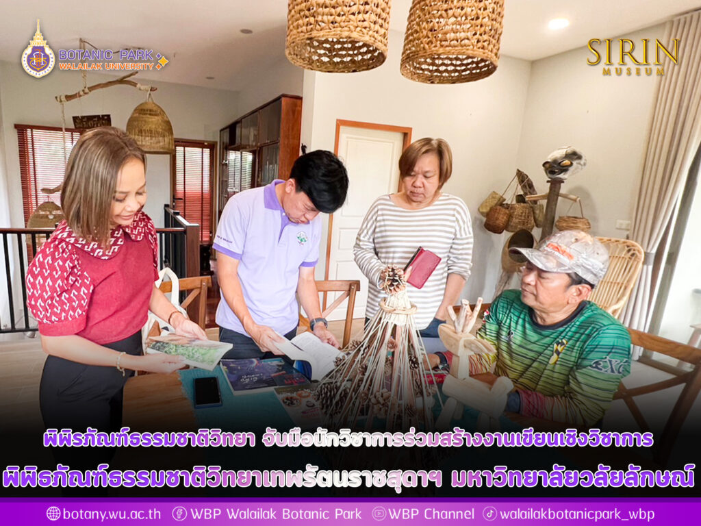 ชาติพันธุ์มานิ