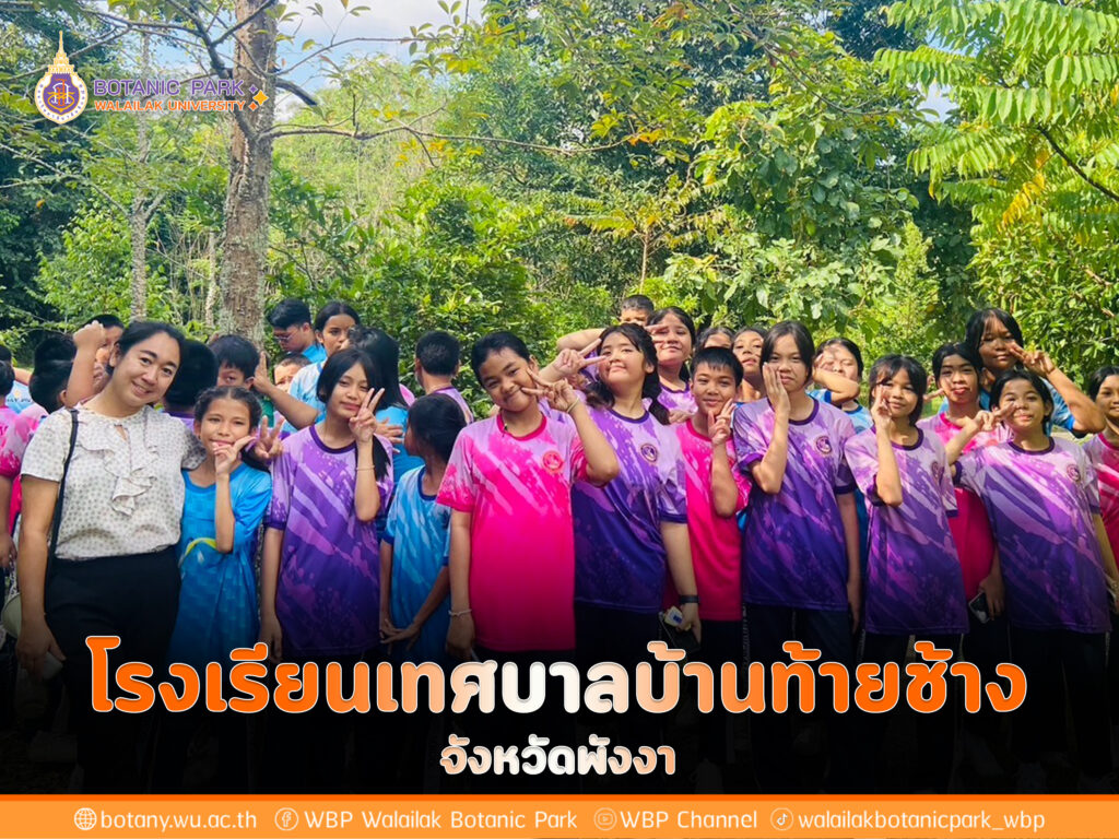 โรงเรียนเทศบาลบ้านท้ายช้าง จังหวัดพังงา