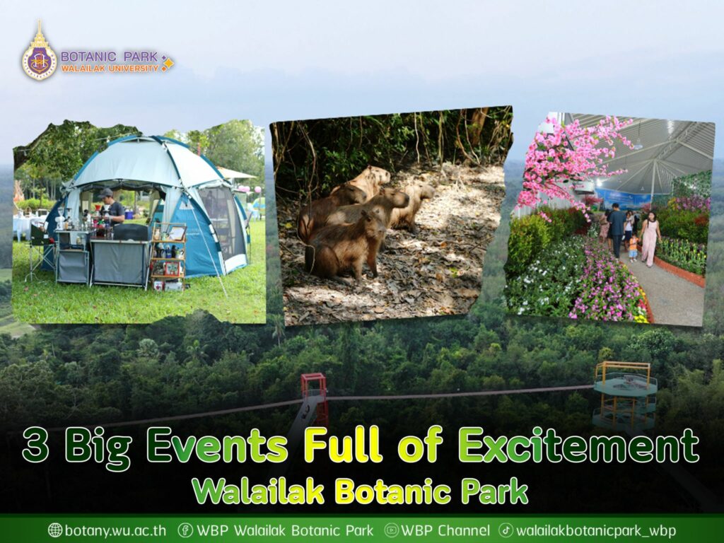3 Big Events Full of Excitement