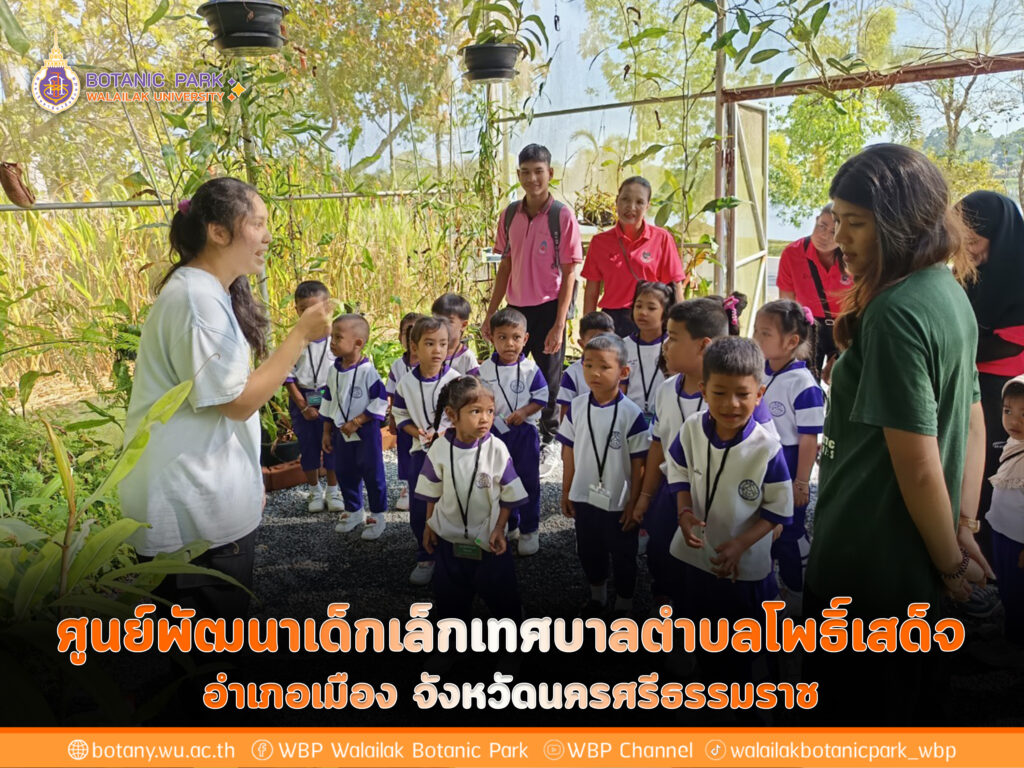 ศูนย์พัฒนาเด็กเล็กเทศบาลตำบลโพธิ์เสด็จ อำเภอเมือง จังหวัดนครศรีธรรมราช