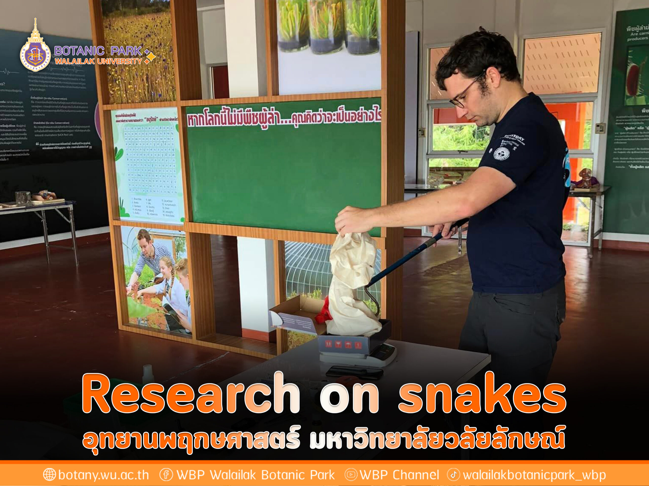 Research on snakes อุทยานพฤกษศาสตร์ มหาวิทยาลัยวลัยลักษณ์ นอจากเป็นแหล่งท่องเที่ยว แหล่งเรียนรู้ ยังเป็นแหล่งศึกษาวิจัย