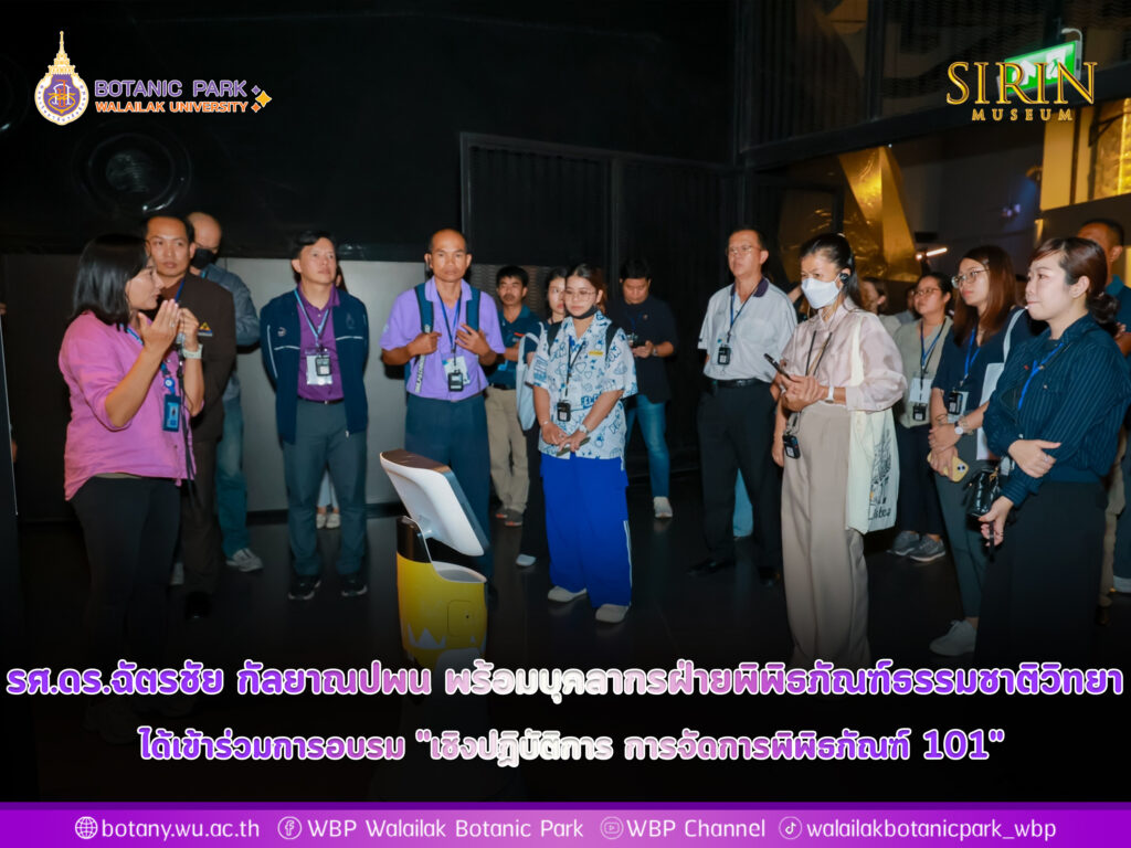 รศ.ดร.ฉัตรชัย กัลยาณปพน รักษาการแทนผู้อำนวยการอุทยานพฤกษศาสตร์ พร้อมด้วยนางสาวสายฝน จิตนุพงศ์ และนายศักดิ์ดา ใบมิเด็น บุคลากรฝ่ายพิพิธภัณฑ์ธรรมชาติวิทยา ได้เข้าร่วมการอบรม "เชิงปฏิบัติการ การจัดการพิพิธภัณฑ์ 101"