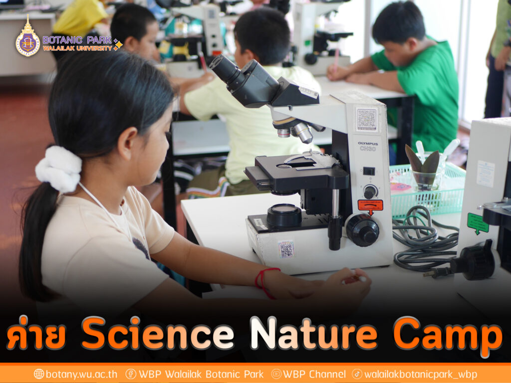 กิจกรรมบริการวิชาการ ค่าย Science Nature Camp