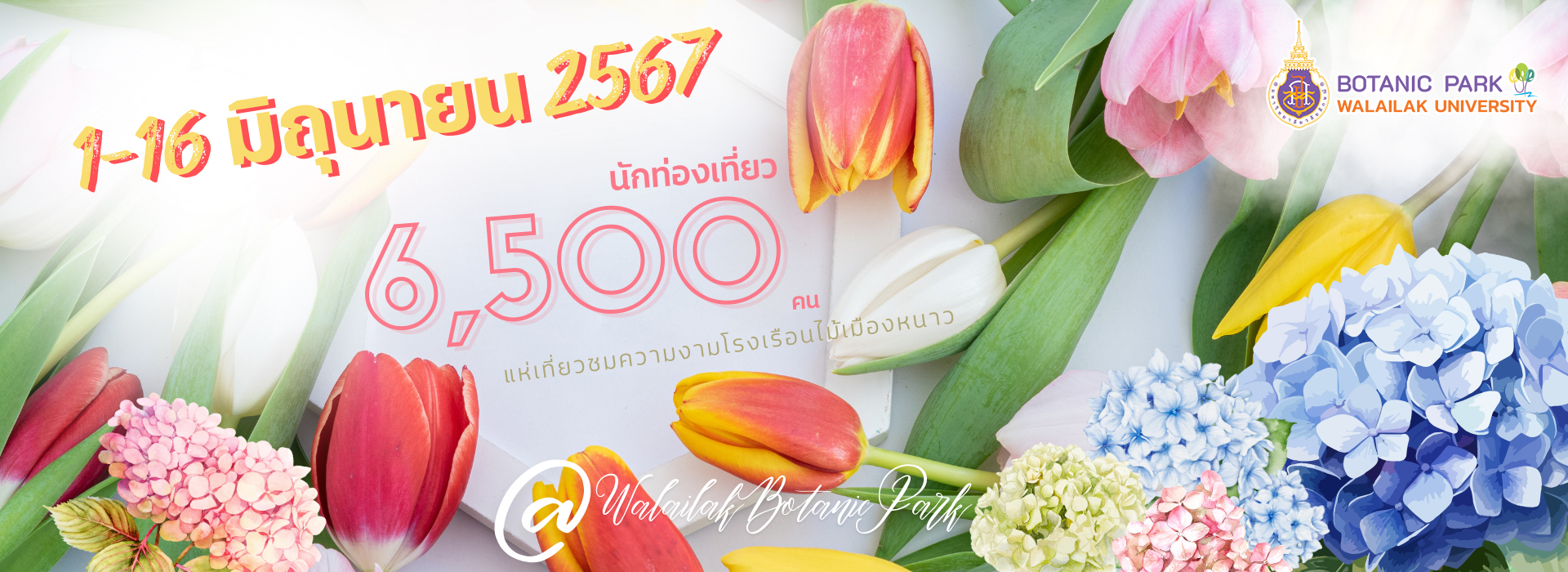 นักท่องเที่ยว 6,500 คน แห่ชมโรงเรือนไม้เมืองหนาว