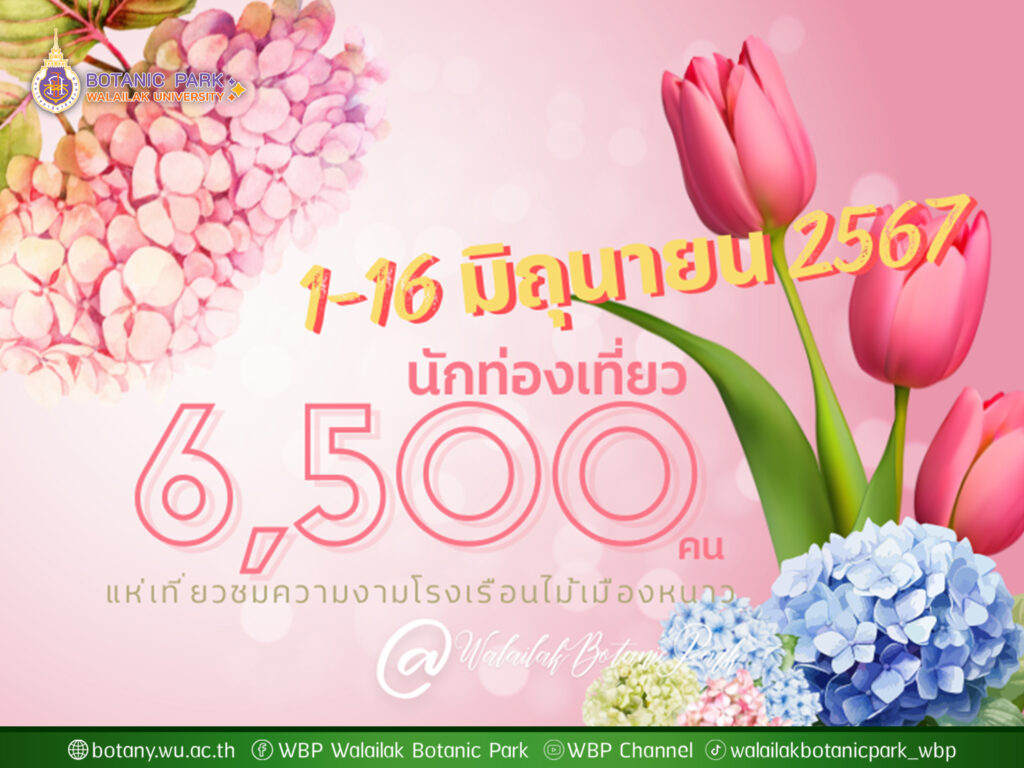 นักท่องเที่ยว 6,500 คน แห่ชมโรงเรือนไม้เมืองหนาว