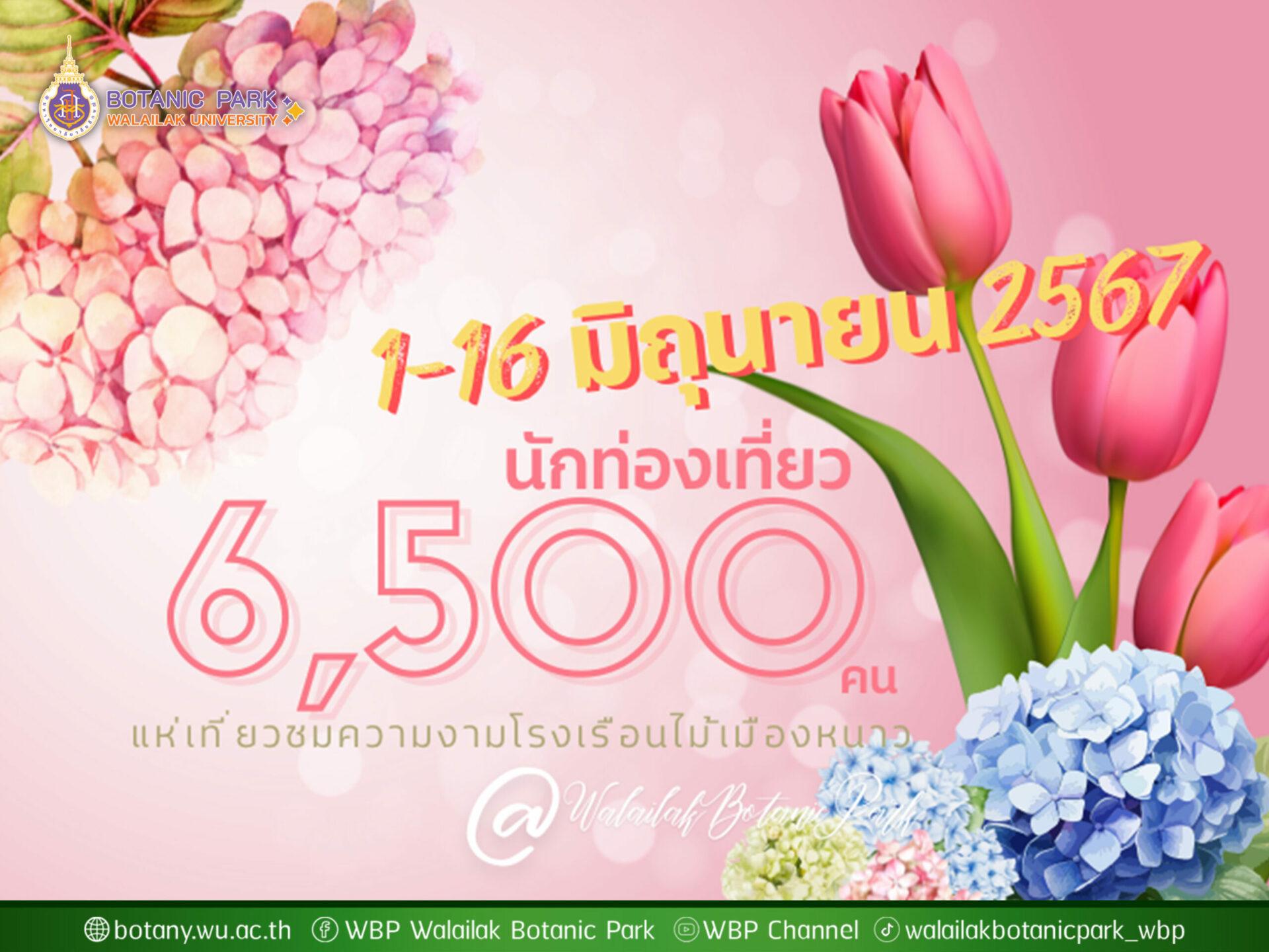 นักท่องเที่ยว 6,500 คน แห่ชมโรงเรือนไม้เมืองหนาว