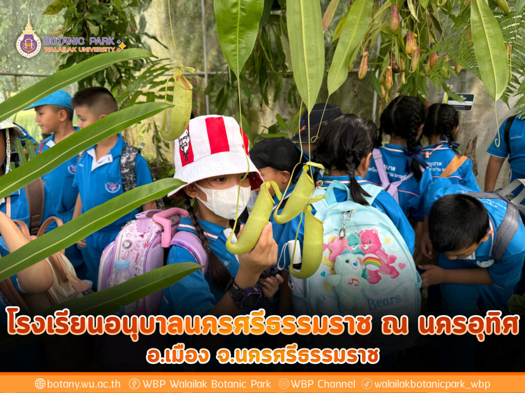 โรงเรียนอนุบาลนครศรีธรรมราช ณ นครอุทิศ อ.เมือง จ.นครศรีธรรมราช