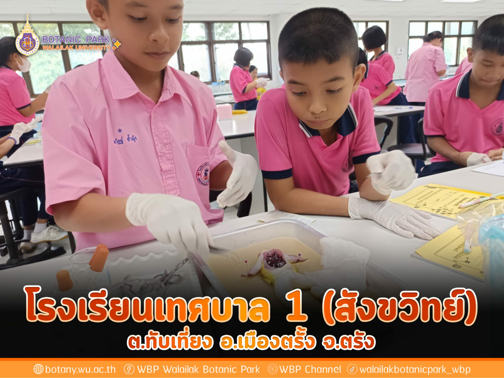 โรงเรียนเทศบาล 1 (สังขวิทย์)