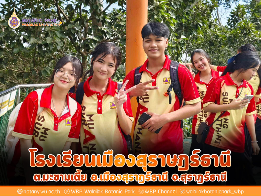 โรงเรียนเมืองสุราษฎร์ธานี