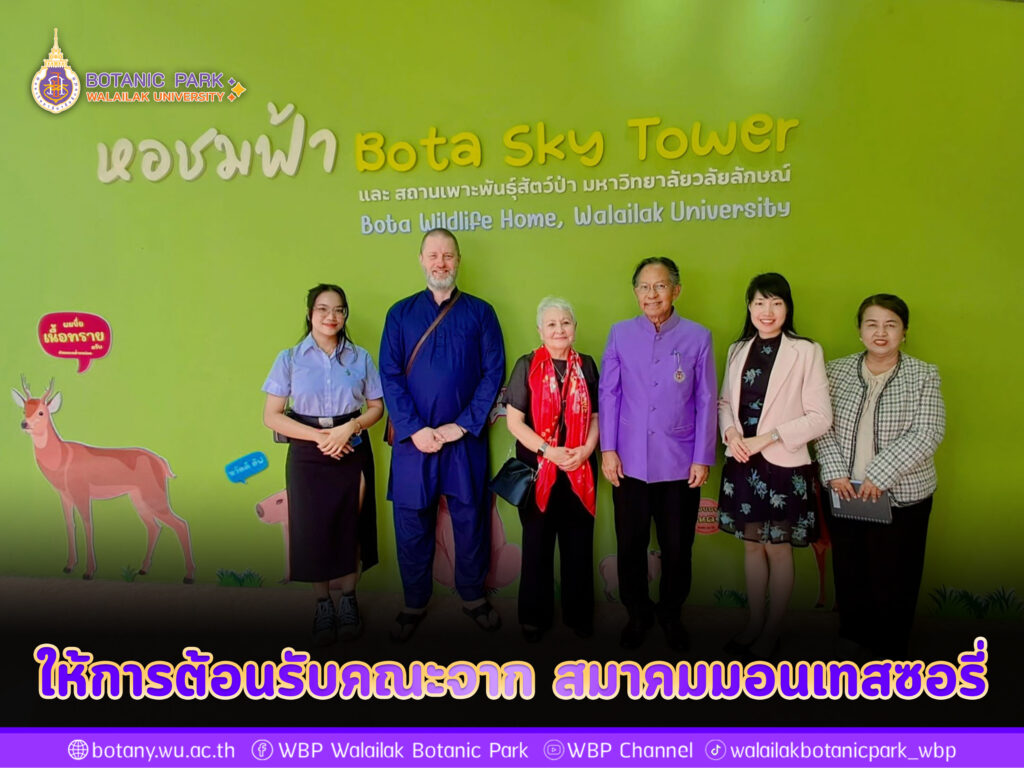 ให้การต้อนรับคณะจาก สมาคมมอนเทสซอรี่