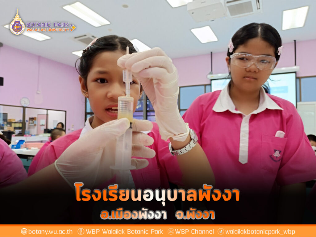 โรงเรียนอนุบาลพังงา