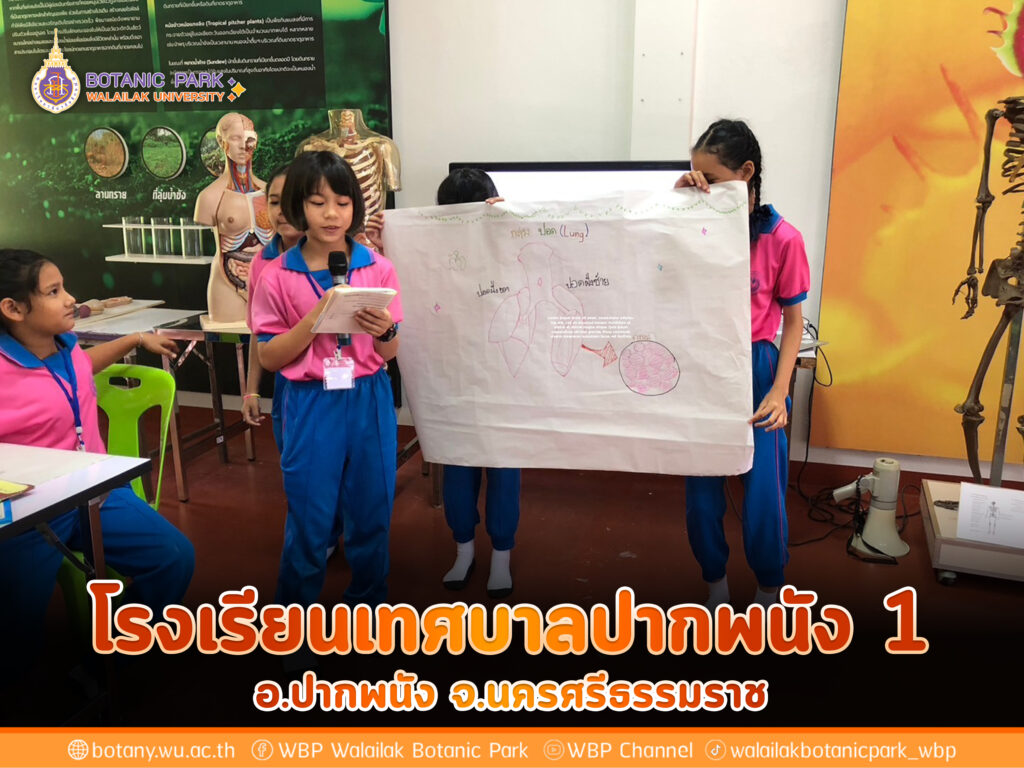 โรงเรียนเทศบาลปากพนัง 1