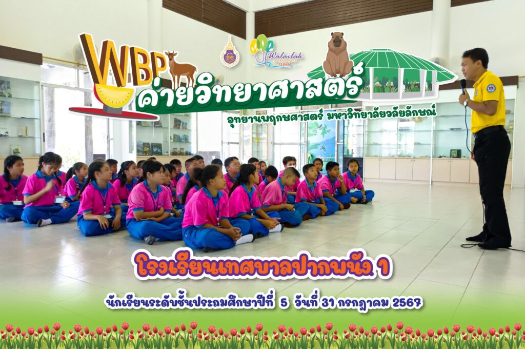 โรงเรียนเทศบาลปากพนัง 1