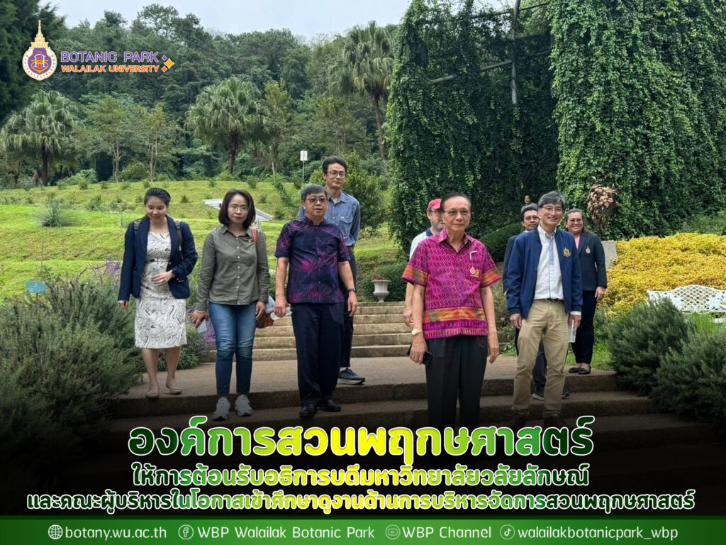 องค์การสวนพฤกษศาสตร์ ให้การต้อนรับอธิการบดีมหาวิทยาลัยวลัยลักษณ์ และคณะผู้บริหารในโอกาสเข้าศึกษาดูงานด้านการบริหารจัดการสวนพฤกษศาสตร์