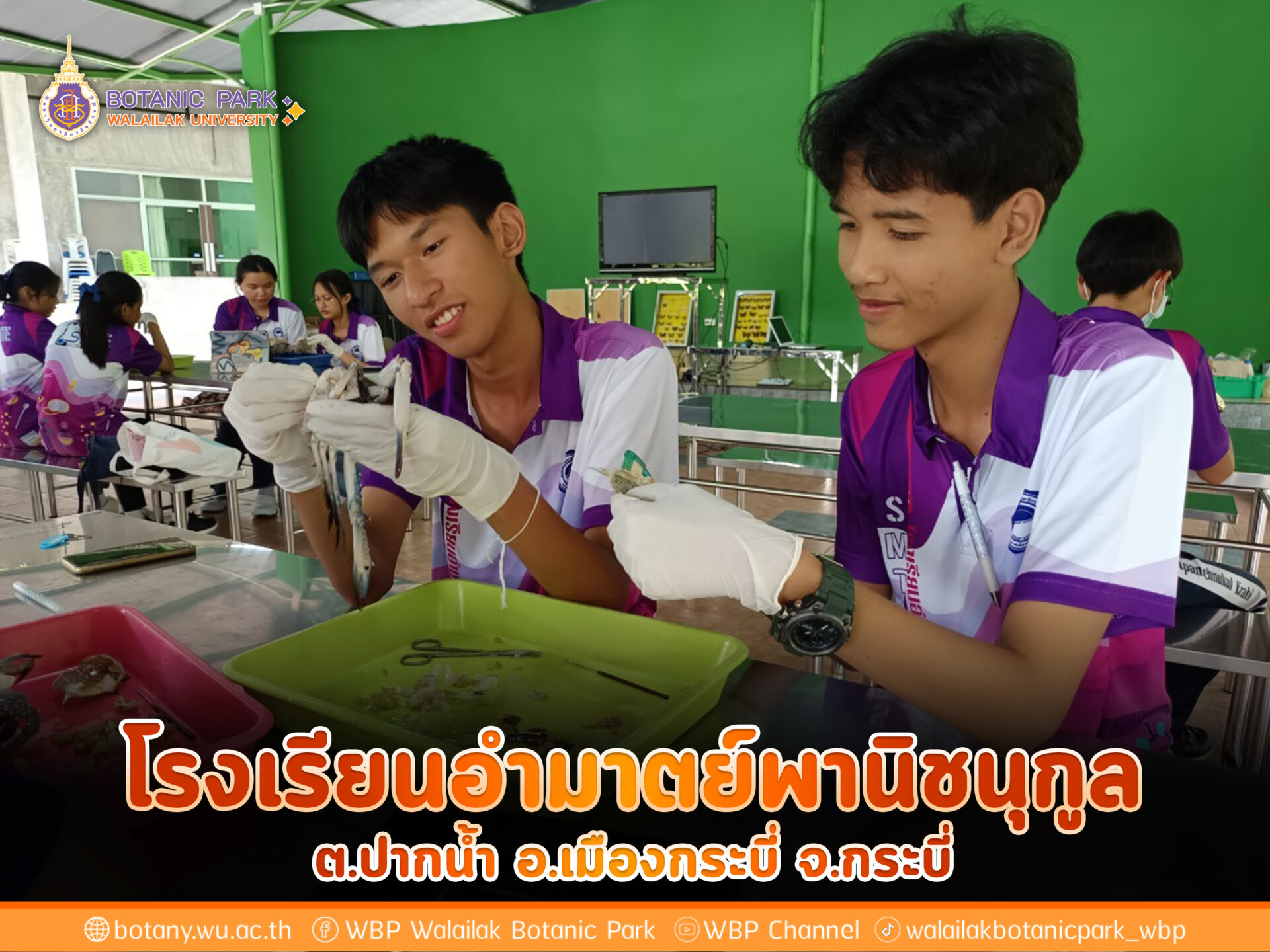 โรงเรียนอำมาตย์พานิชนุกูล