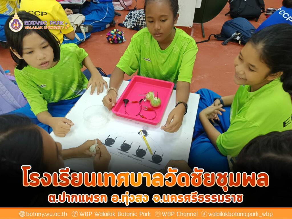 โรงเรียนเทศบาลวัดชัยชุมพล