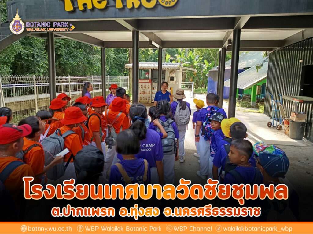 โรงเรียนเทศบาลวัดชัยชุมพล